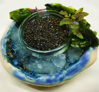 Caviar Guba
