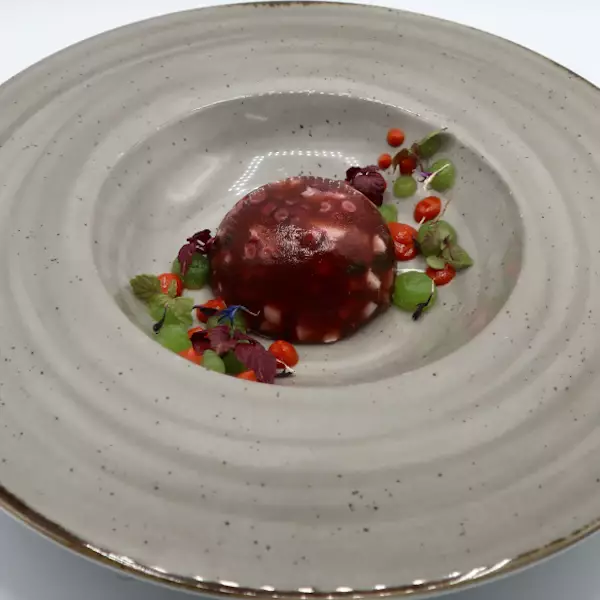 Terrina polvo